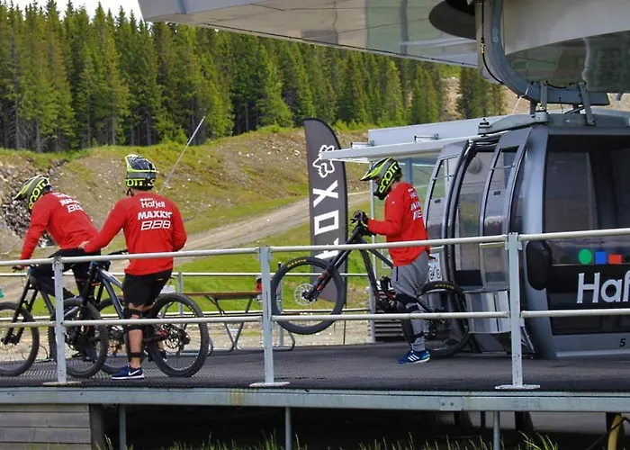 Front 220d 8pers, Inout , Downhill Bike