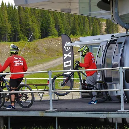 Front 220d 8pers, Inout , Downhill Bike